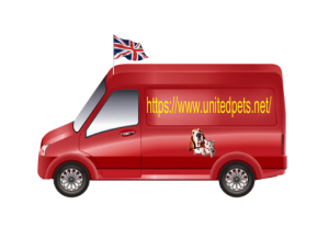 a red van